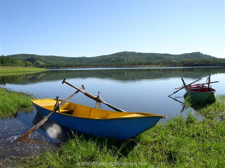 Wildlife Photography in Hulun Lake